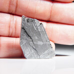 Genuine Muonionalusta Meteorite Slice V4
