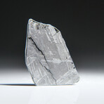 Genuine Muonionalusta Meteorite Slice V4