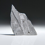 Genuine Natural Muonionalusta Meteorite Slice // 4.7g