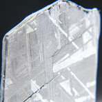 Genuine Muonionalusta Meteorite Slice V3