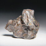 Genuine Sikhote Alin Meteorite V5