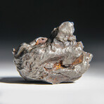 Genuine Sikhote Alin Meteorite V6