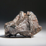 Genuine Sikhote Alin Meteorite V3