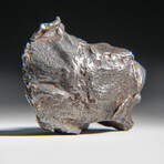 Genuine Sikhote Alin Meteorite V1