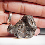 Genuine Sikhote Alin Meteorite V5