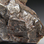 Genuine Sikhote Alin Meteorite V4