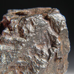 Genuine Sikhote Alin Meteorite V3