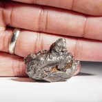 Genuine Sikhote Alin Meteorite V6