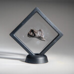 Genuine Sikhote Alin Meteorite V7