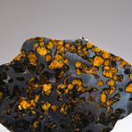 Genuine Seymchan Pallasite Meteorite Slice + Acrylic Display Stand