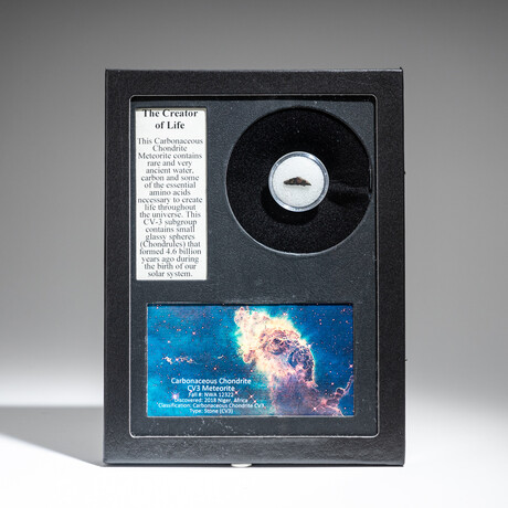 Genuine Carbonaceous Chondrite // The Creator of Life Meteorite in Display Box