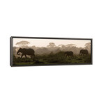 Africa, Kenya, Amboseli National Park (12"L x 36"W x 0.75"H)