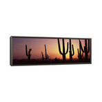 Silhouette of Saguaro Cacti (12"H x 36"W x 0.75"D)