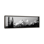 Cathedral Group Grand Teton National Park (12"H x 36"W x 0.75"D)