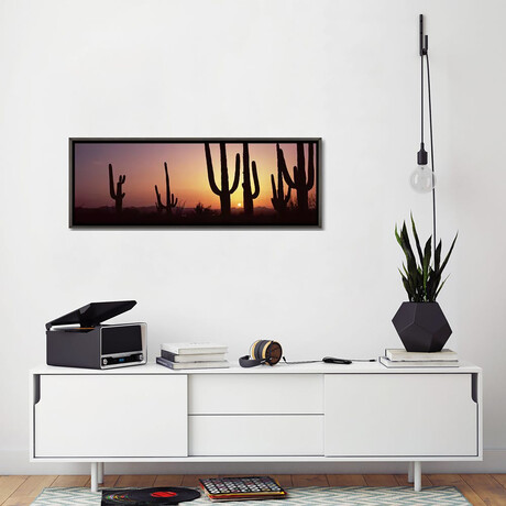 Silhouette of Saguaro Cacti (12"H x 36"W x 0.75"D)