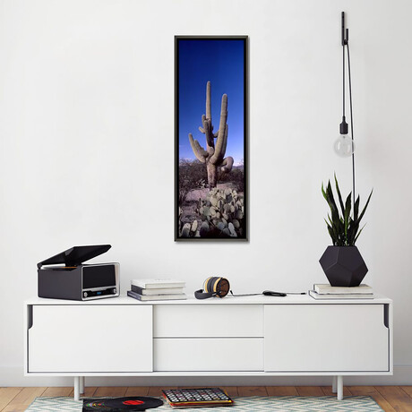 Low Angle View of a Saguaro Cactus (36"H x 12"W x 0.75"D)