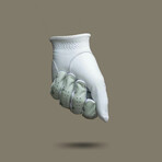 Palm Tree Golf Glove (Left // Small)