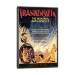 Film: Frankenstein, 1931 by Unknown (26"H x 18"W x 0.75"D)