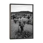 Cholla Cactus Garden V by Bethany Young (26"H x 18"W x 0.75"D)