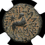 "Star of Bethlehem" Coin, Struck 13-14 AD