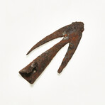 Medieval Longbow Arrow-head // 8th-10th Century CE