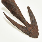 Medieval Longbow Arrow-head // 8th-10th century AD