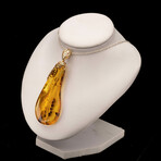 Ornate Baltic Amber With Mosquito Pendant // 16 Grams