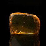 Baltic Amber With Two Non-Biting Midges and Two Unidentified Winged Insects // 6.51 Grams
