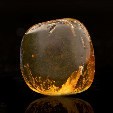 Baltic Amber With Non-Biting Midge, Ant, and Gnat // 5.63 Grams
