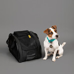Meridian Dog Carrier // Raven