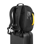 Meridian Dog Carrier // Raven