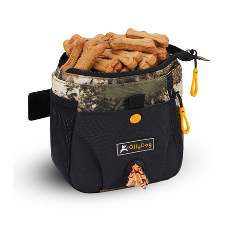 Backcountry Day Bag // Forest Camouflage