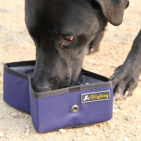 Crumple Travel Bowl // Atlantic