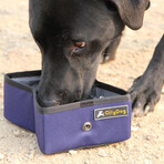 Crumple Travel Bowl // Atlantic