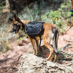 Trekker RF // Raven (Medium)