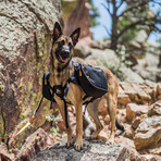 Trekker RF // Raven (Medium)