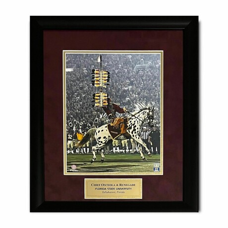 Chief Osceola & Renegade // Florida State Seminoles // Unisigned Photographed + Framed