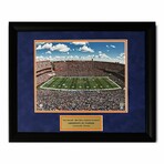 Ben Hill Griffin Stadium "The Swamp" // Floirda Gators // Unsigned Photograph + Framed