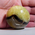 Genuine Polished Septarian Palm Stone With Velvet Pouch