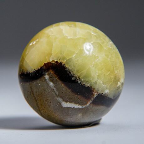 Genuine Polished Septarian Palm Stone with velvet pouch