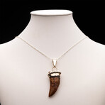 African T. Rex Tooth Pendant // 8.74 Grams