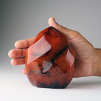 Genuine Polished Carnelian Freeform