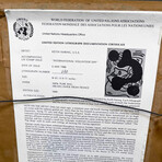 Keith Haring // International Volunteer Day // 1988