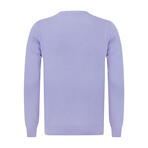 Erky V-Neck Pullover // Purple (L)