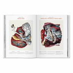 Bourgery, Atlas of Anatomy