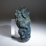Genuine Polished Hand Carved Labradorite Dragon V.2