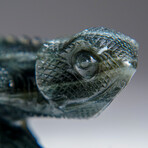 Genuine Polished Labradorite Lizard Carving