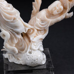 Genuine Angel Skin Coral Hand Carving