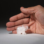 Genuine Polished Clear Quartz Elephant Carving