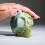 Genuine Polished Turquoise Skull Carving